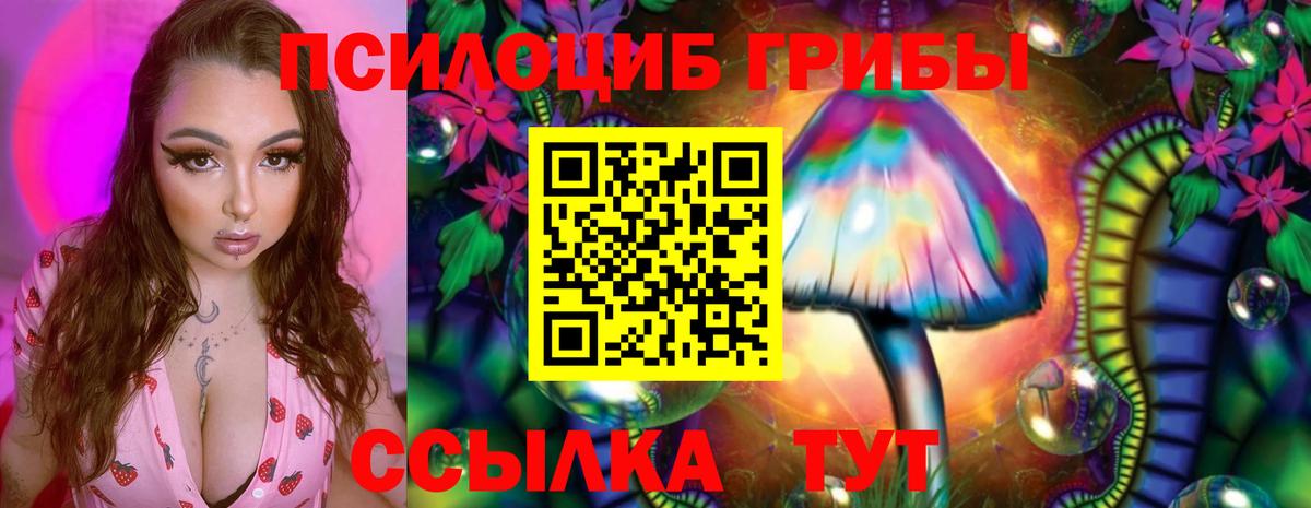 Псилоцибиновые грибы MAGIC MUSHROOMS  Вход с VPN  Кунгур 